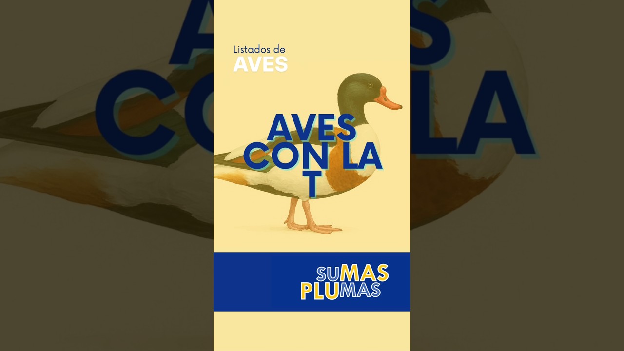 Aves con la T