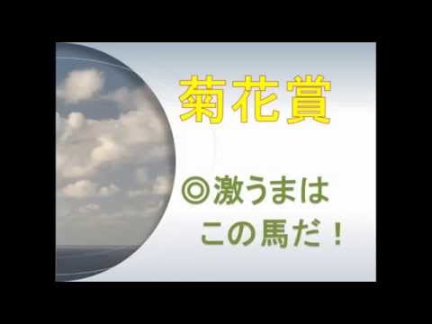 2014　菊花賞　競馬予想