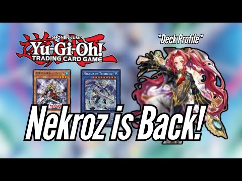Yugioh *Insane* Nekroz Deck Profile - Deck Is Good in 2025 ?
