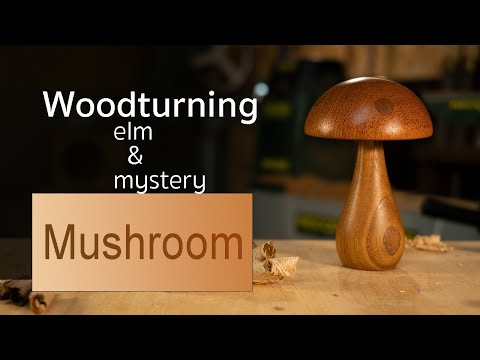 Woodturning - Mushroom from elm and something else...