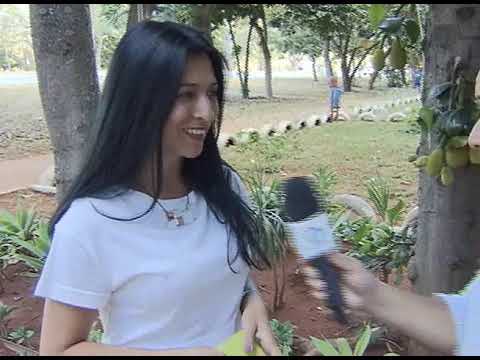 🌱 Meio Ambiente por Inteiro - Natureza Urbana