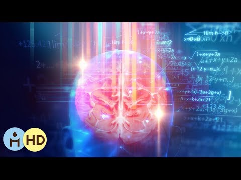 Brain Stimulating Music: Piano Music for Study, Alpha Waves, Study Music Playlist, Background ¤804