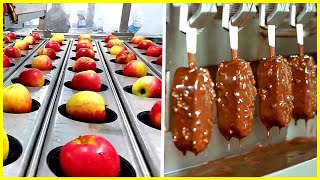 Industrial Food Production Machines That Are on Another Level 1