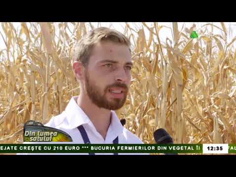 Agro TV Ziua Porumbului 2021