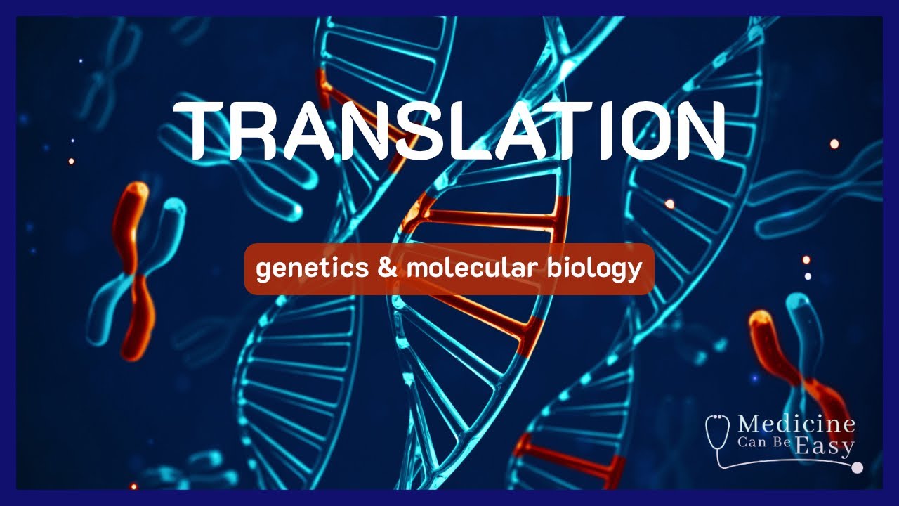 Translation (+ NOTES)