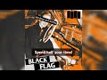 Black Flag - Drinking And Driving (Lyrics)