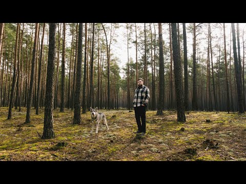 Václav Filip - Z popela