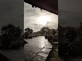 Mazha മഴ Rain Rainy Days Whatsapp Status Malayalam Mazha Status Shorts Mazha Rain Status