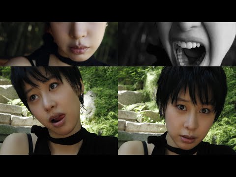 비디오 13