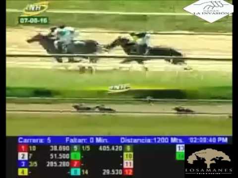 LA RINCONADA 5 CARRERA, DOMINGO 07 DE AGOSTO DEL 2016