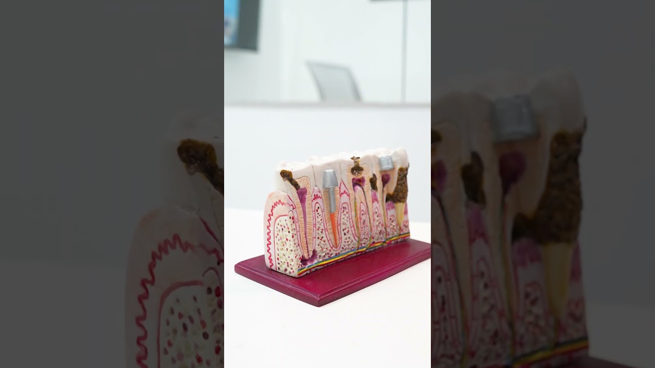 Zury Sarai Moreno Soto-55