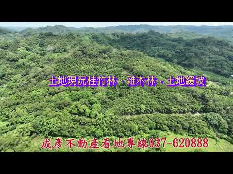 造橋鄉-大桃坪段山坡地/其他出售 第1張共9張