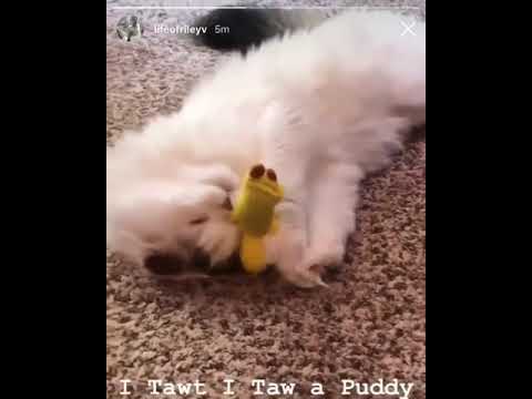 Riley Voelkel Quentin is so cute🥰