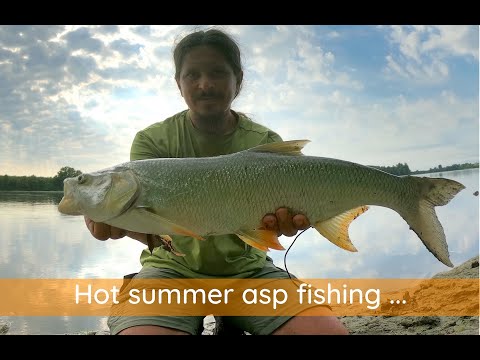 Spinning for the ASP in a very hot summer ...