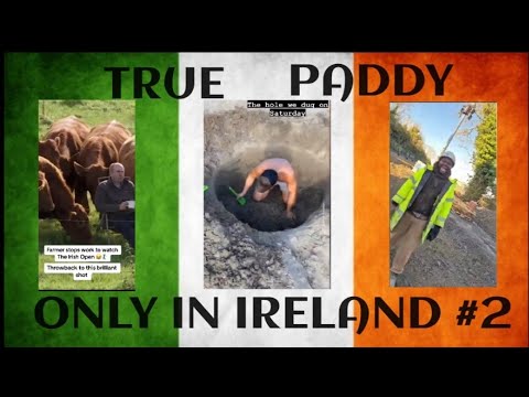 ONLY IN IRELAND NO.2 (TRUE PADDY) #funny #irish #comedy
