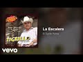 El Tigrillo Palma - La Escalera (Audio)