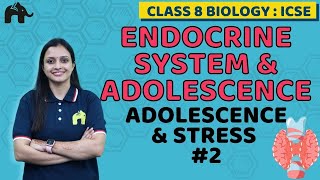 Endocrine System & Adolescence Class 8 ICSE Biology Chapter 5 | Selina | Adolescence & Stress #2