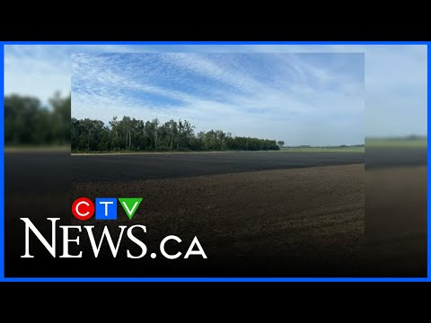 Remnants of a field after a grass fire spread in Springwater Township