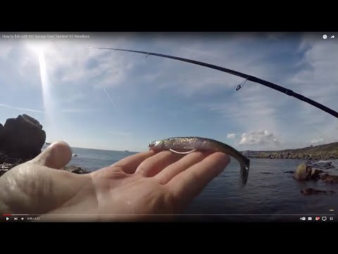 How to fish with the Savage Gear Sandeel V2 Weedless