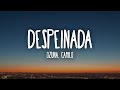 Ozuna, Camilo - Despeinada (Letra/Lyrics)