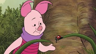 If I Wasn&#39;t So Small | The Mini Adventures of Winnie The Pooh | Disney