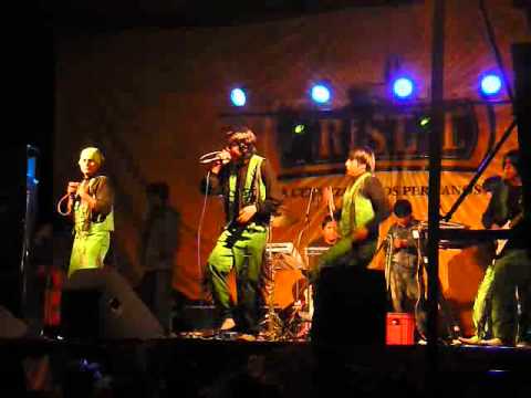 Haremos Linda - Pollitos Lagrimas x Amor