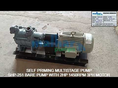 SS and Cast Iron Self Priming Bare Shaft Coupled Pump