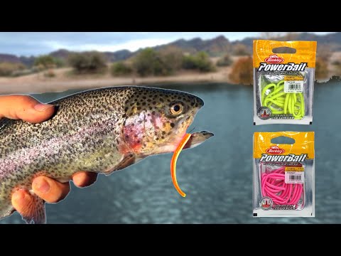 Berkley Power Worms SLAY Stocked Trout! (Easy Method)