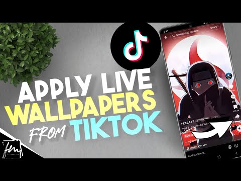 How to Set a Live Wallpaper from TikTok on Your Phone