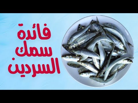 ما هي فائدة سمك السردين ؟