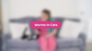 Worms In Cats | Pet Health Advice