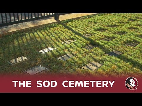 FSU's Sod Cemetery: A Nissan Fan-Fueled Tradition