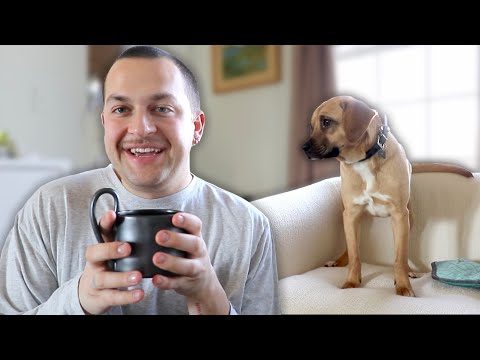 I Got Another Dog (was this a mistake??)