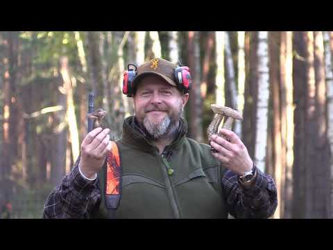 Darz Bór odc. 364 - Wielkie Łowy w Puszczy Żagańskiej