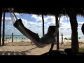 Making A Living Living Life