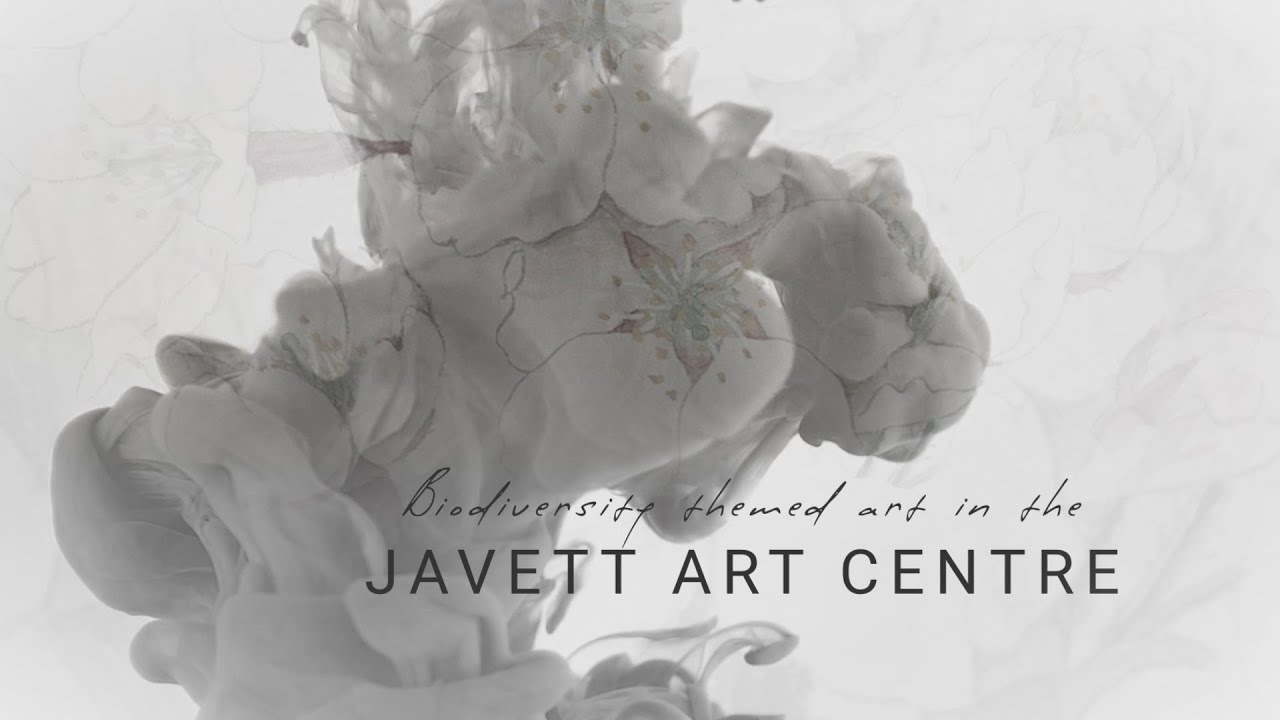 Biodiversity Themed Art In The Javett Art Centre