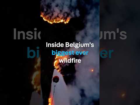 Inside Belgium's biggest ever wildfire | DW News