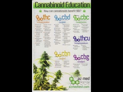 Cannabis Talks with Lokigen #Khanology