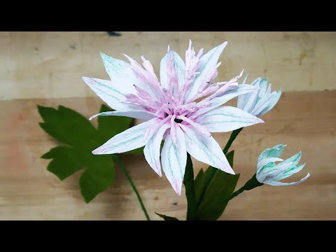 Diy how to make crepe paper Astrantia flower
