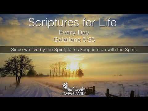 Scriptures for Life | Every Day