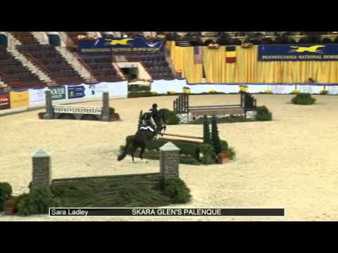 753 SKARA GLEN'S PALENQUE Sara Ladley, Class 155 Amateur Owner Hunter 3'3 18 35 Stake