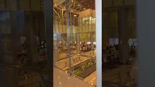 다낭공항 입국장 ㅡ Da Nang Airport arrival hall