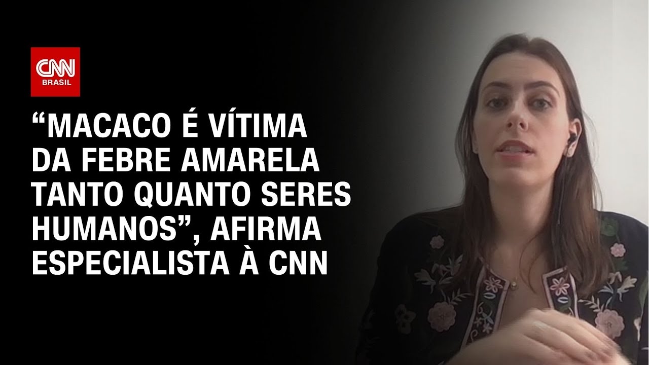 “Macaco é vítima da febre amarela tanto quanto seres humanos”, afirma especialista à CNN | LIVE CNN