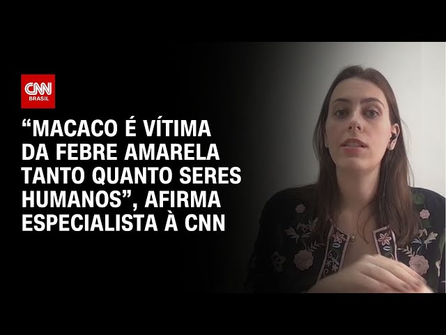 “Macaco é vítima da febre amarela tanto quanto seres humanos”, afirma especialista à CNN | LIVE CNN
