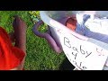 Kid Temper Tantrum Selling London Prank Original 75 000 Subscriber Specials