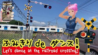 踏切動画 【踏切ダンス】大きい踏切にDENCHAが来たよのダンス《縦動画＃4 》[Let's dance to the rhythm of the railroad crossing]