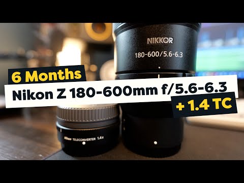 6 Months with the Nikon Z 180-600mm f/5.6-6.3, and with the 1.4x Teleconverter