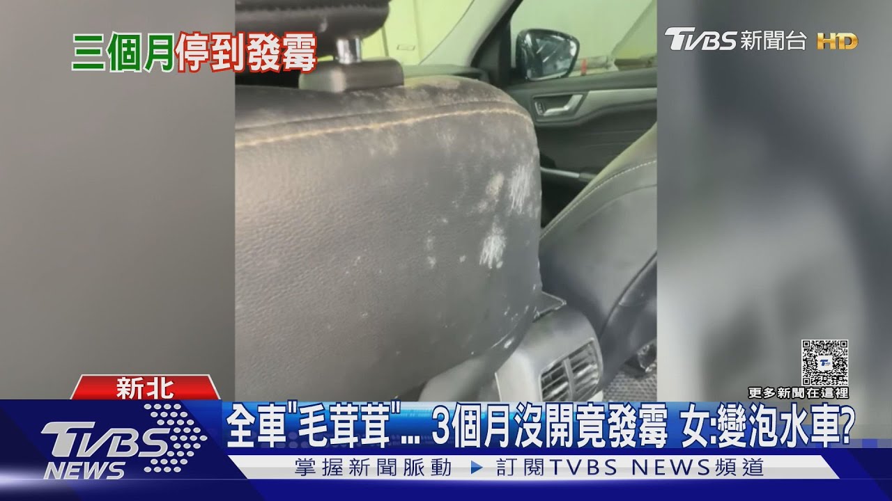 新車淪「黴菌樂園」!車主震驚開門見慘況 專家:2週須通風
