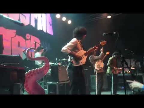 Wyld Gooms 30 mai 2025 - Festival Cosmic Trip