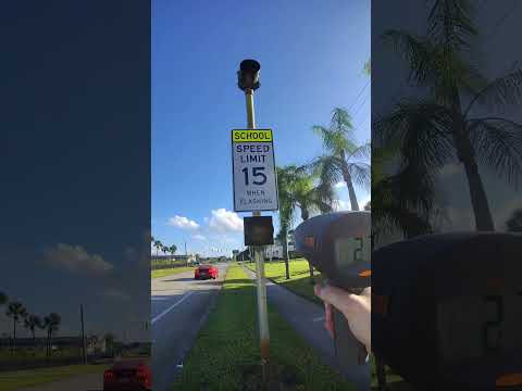 throwing food at speeding cars in school zones